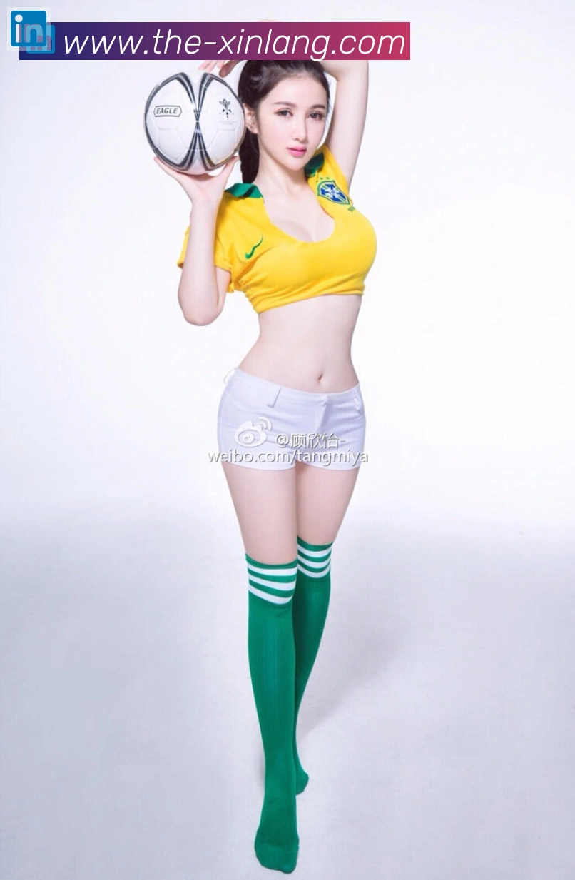 新浪彩票服务体系